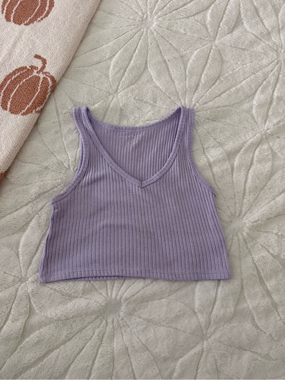 American Eagle Outfitters Lavender Ribbed V-Neck Crop Tank